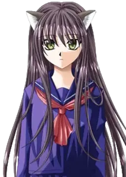 みけ