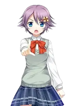 曲琪