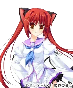 猫宮 彩葉