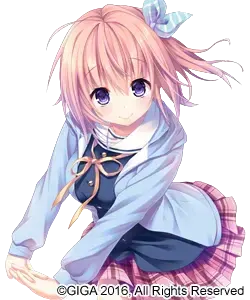 四贺乃花