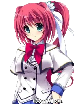 藤沢蛍