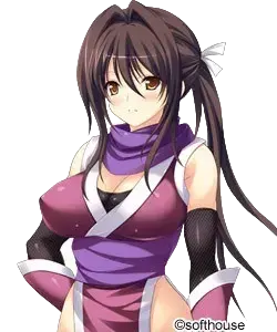 右京 葵