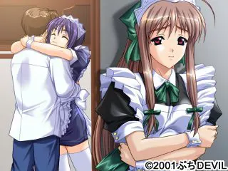 83400504