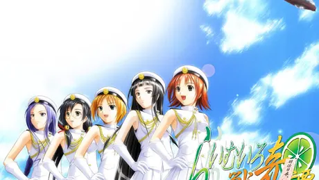 Series Banner 1