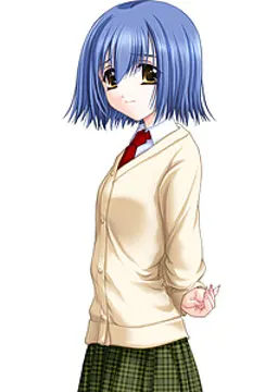双木葵