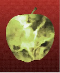 Malus