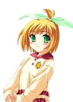 綾瀬 ユーキ