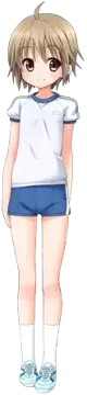 早来樹