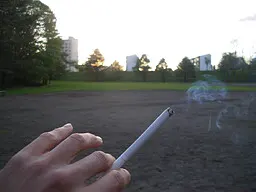 Parliament ~高貴なるモノとの日常~