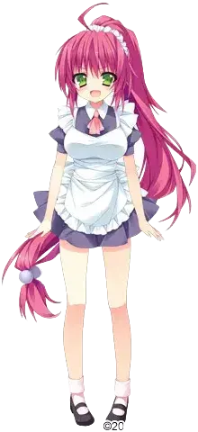 青野七歌