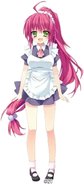 青野七歌