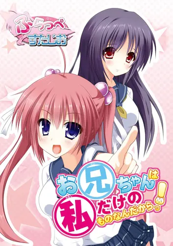 お兄ちゃんは私だけのものなんだからっ!!