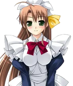 妙蓮寺 茶恵