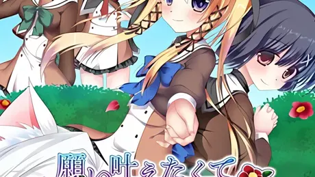 願い叶えたくて