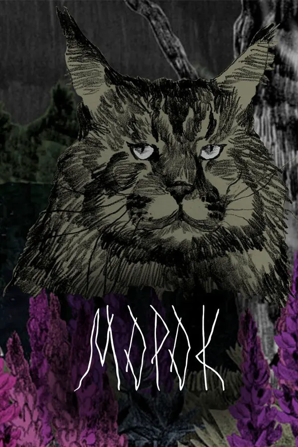 Morok