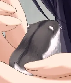 恰米