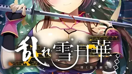 乱雪月华～虚幻飘散的细雪～