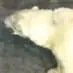 澤村ゆり