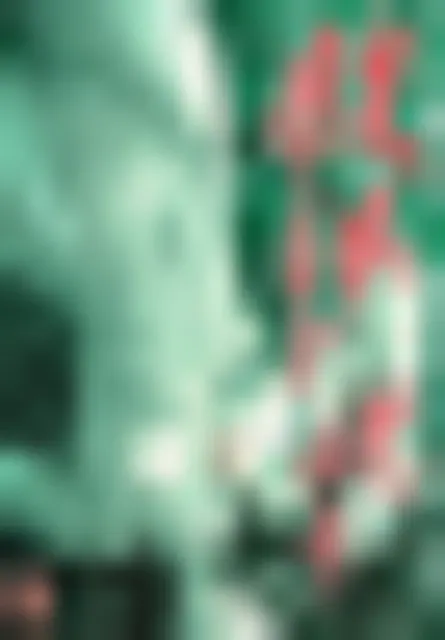 肢体洗