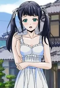 司