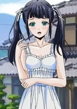 司