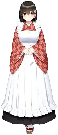 白菊