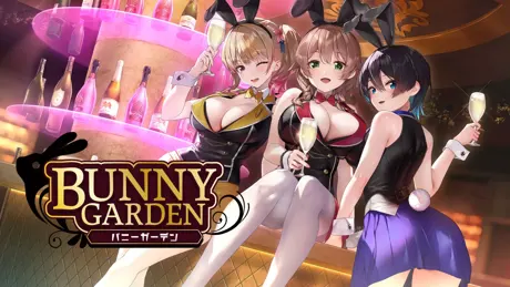 Series Banner 1
