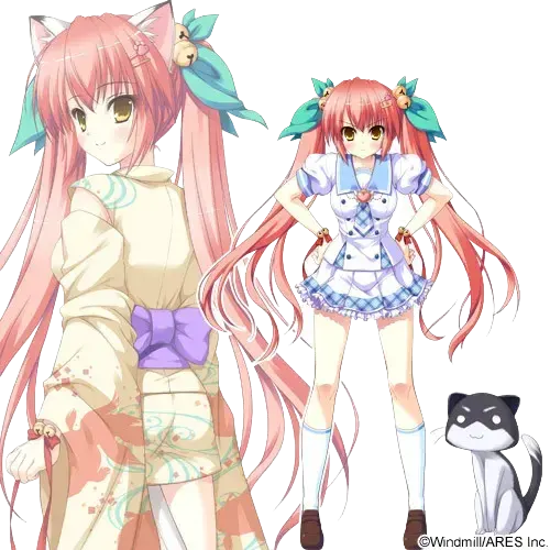 神楽坂 こねこ