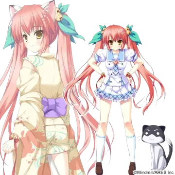 神乐坂 小猫