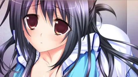 ハレ・カノ ～2人の幼なじみとハーレムな関係～