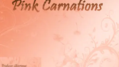 Pink Carnations