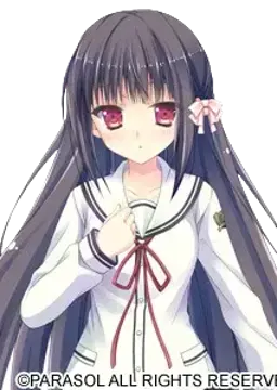 桜木雨音