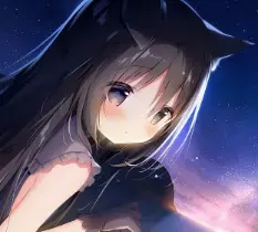 思而不了