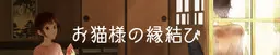 猫大人的牵线