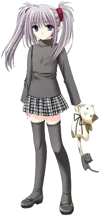 プリムラ