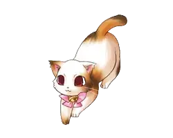 三毛
