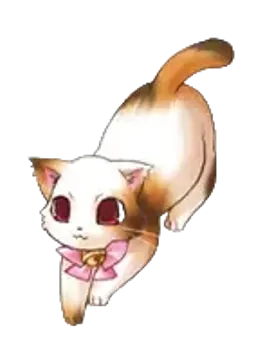 ミケ