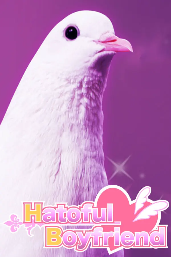 鸽子男友
