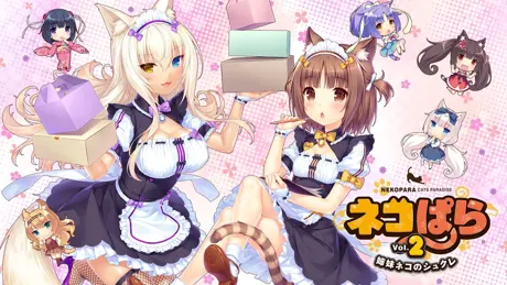 Series Banner 3