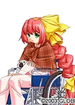 まゆみ