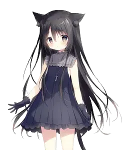 ノワール
