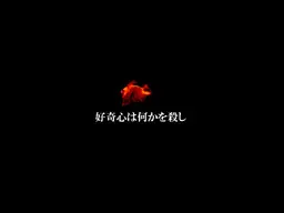 好奇心会杀死什么