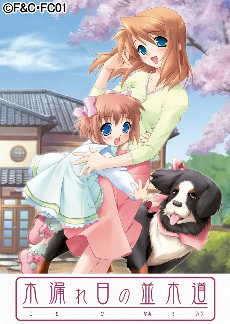 木漏れ日の並木道