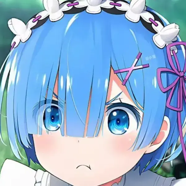 レム