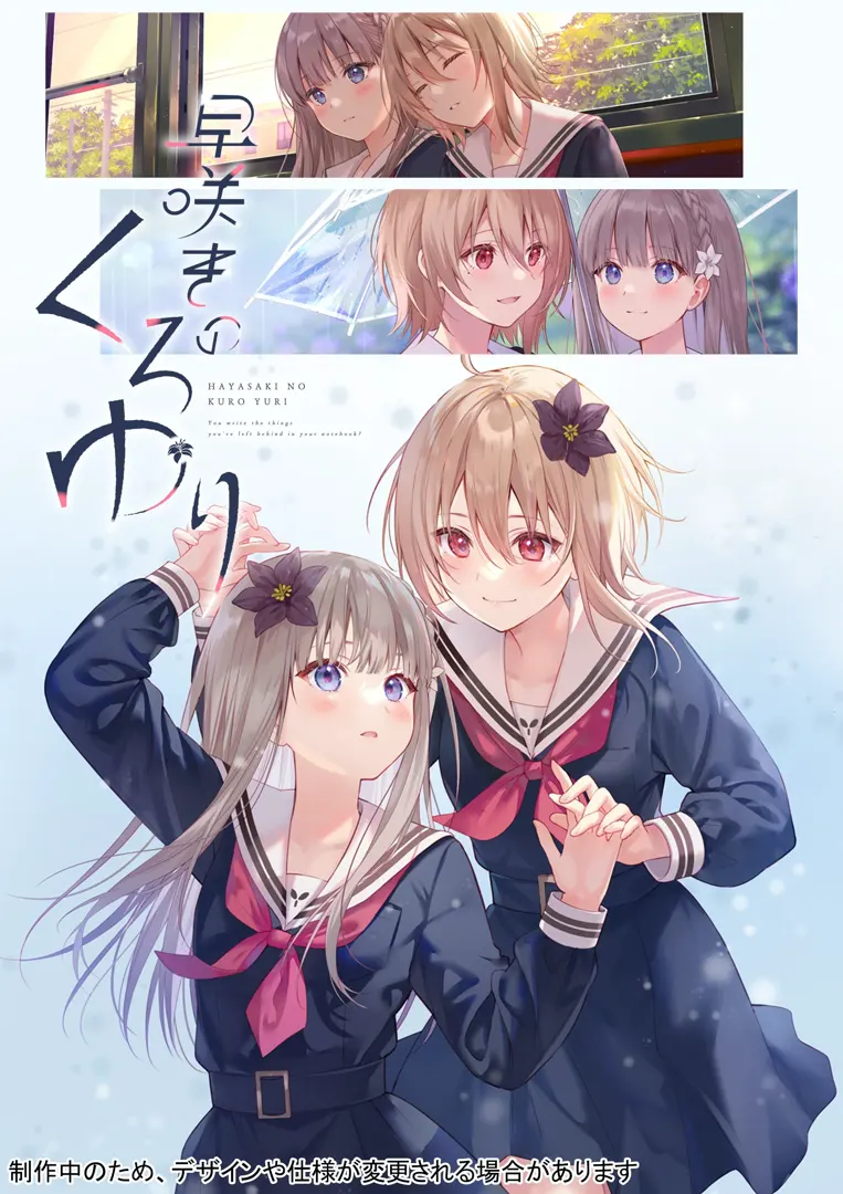 提早绽放的黑百合