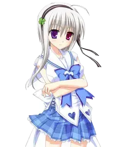 老树真树
