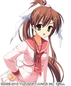 山吹 葵