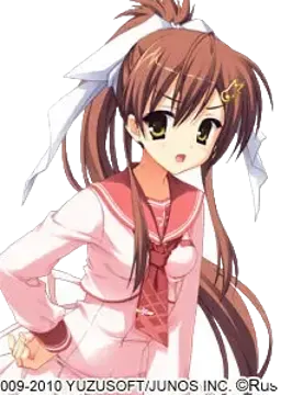 山吹 葵