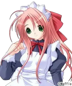 キュウト