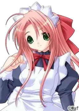 キュウト